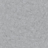 Noordwand Noordwand Behang Vintage Deluxe Stucco Crackle metallic grijs