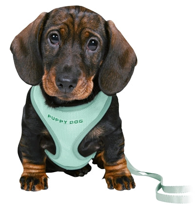 Trixie Junior puppytuig zacht met riem mintgroen