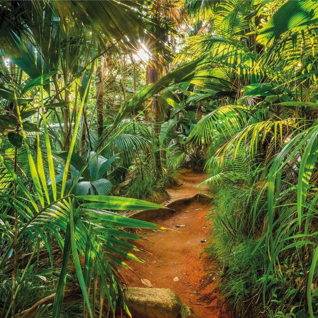 Komar fotobehang jungle trail 368x254 cm