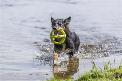 Trixie Aqua speelgoed trekspeeltje tpr assorti