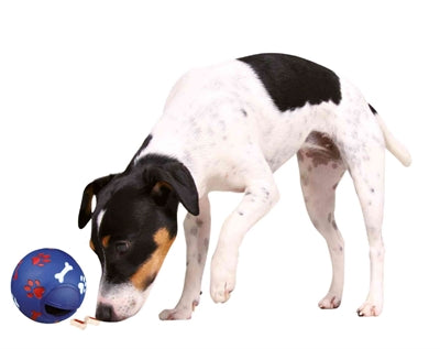 Trixie snackbal kunststof blauw