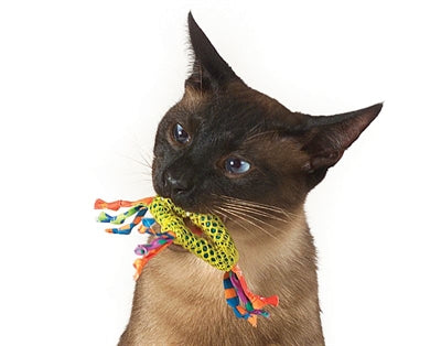 Catstages catnip dental health chew