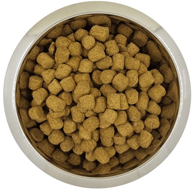 Yourdog Koningsnelheidel volwassen