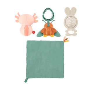 Fisher price kado set so many senses