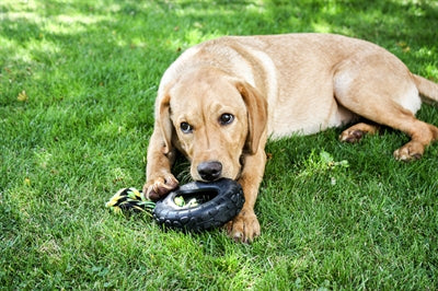 Happy pet grrrelli tyre tugger zwart groen