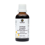 De groene os Solidago complex hond kat