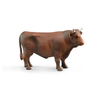 Bruder stier