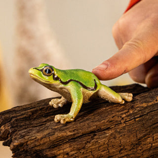 Schleich 14882 european tree frog