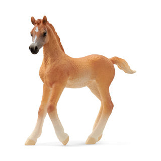Schleich horse club arabisch veulen 13984