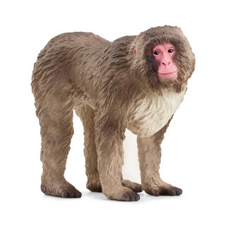 Schleich wild life japanse makaak 14871