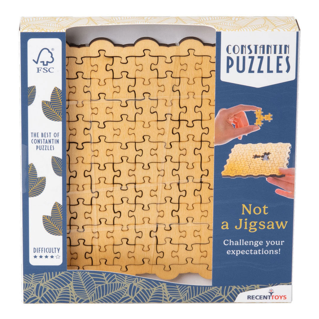 Recent toys not a jigsaw breinpuzzel