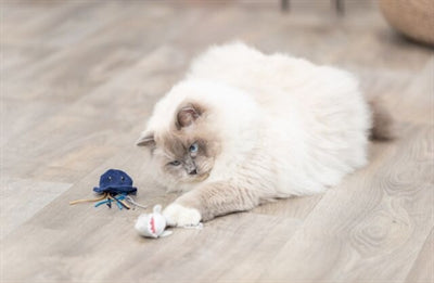 Trixie zeedier pluche met kattenkruid assorti