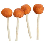 Trixie premium lolly met kabeljauw