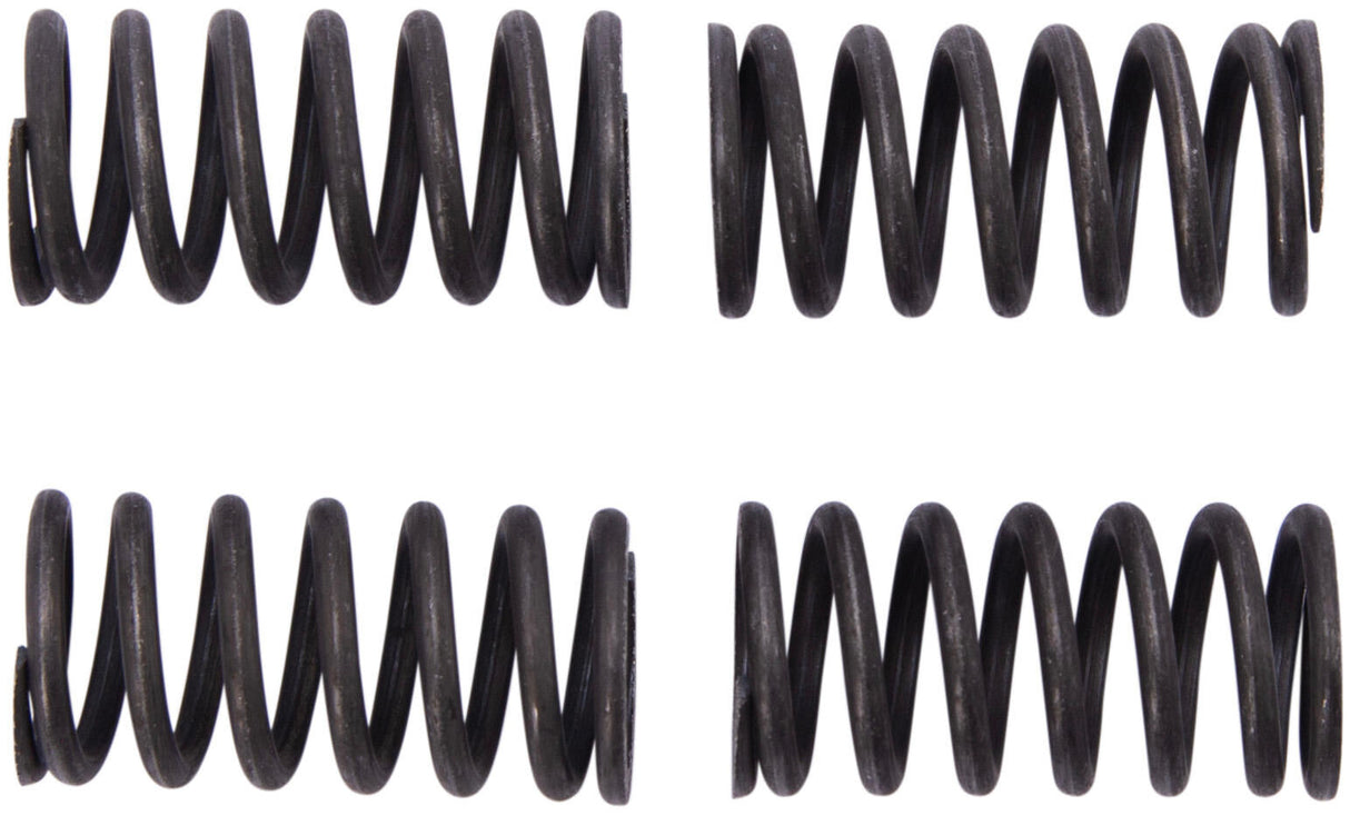 Trw koppelingsveren set clutch spring kit mef331-4