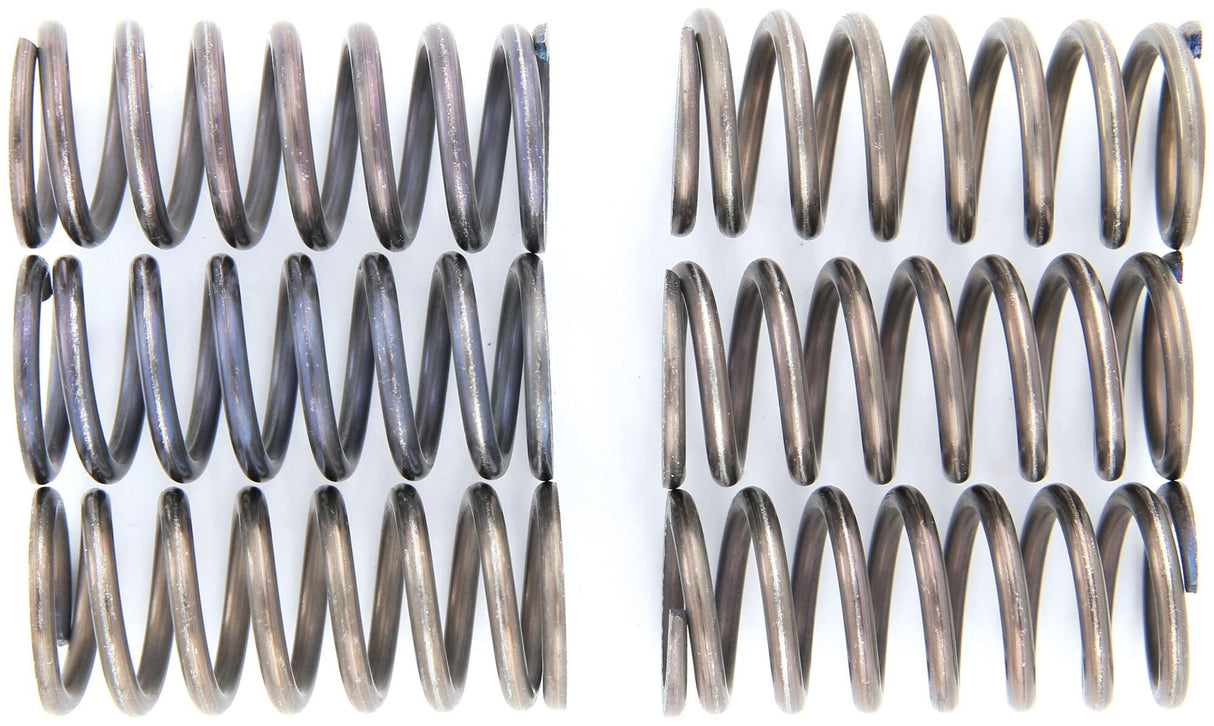Trw koppelingsveren set clutch spring kit mef160-6