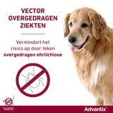 Bayer elanco advantix spot on