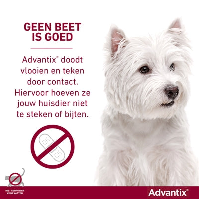 Bayer elanco advantix spot on