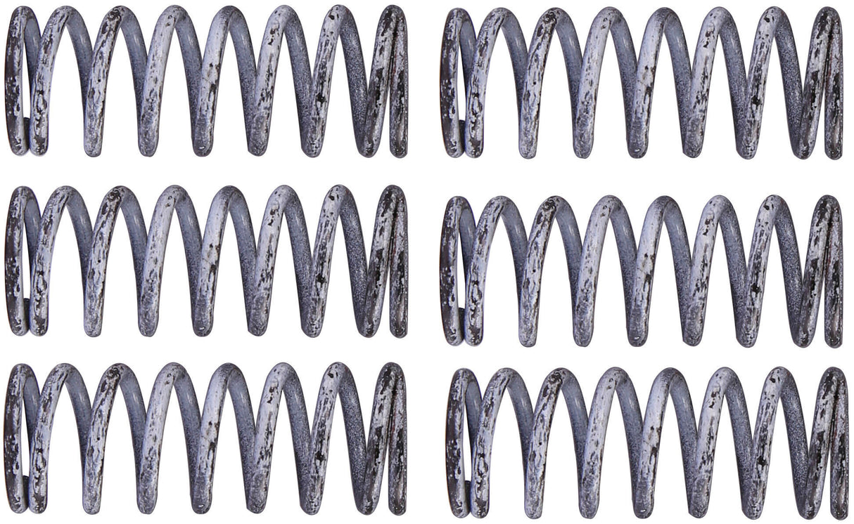 Trw koppelingsveren set clutch spring kit mef305-6
