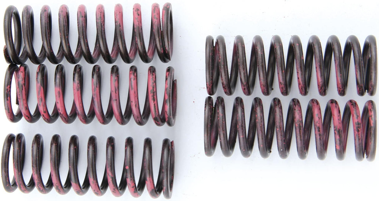 Trw koppelingsveren set clutch spring kit mef315-5