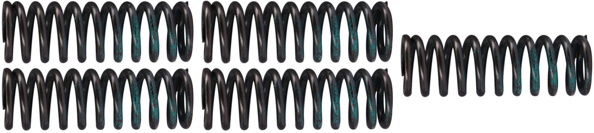 Trw koppelingsveren set clutch spring kit mef319-5