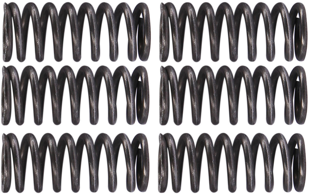 Trw koppelingsveren set clutch spring kit mef162-6
