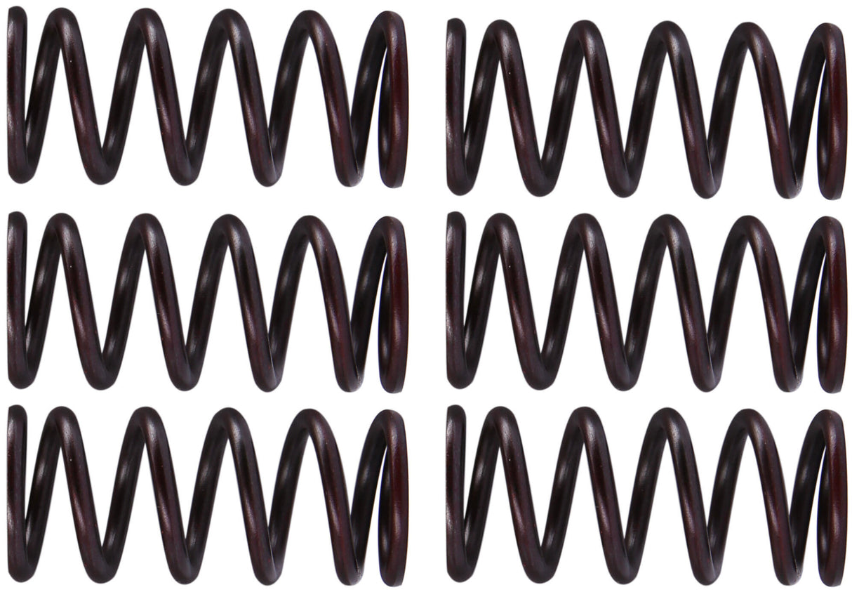 Trw koppelingsveren set clutch spring kit mef300-6
