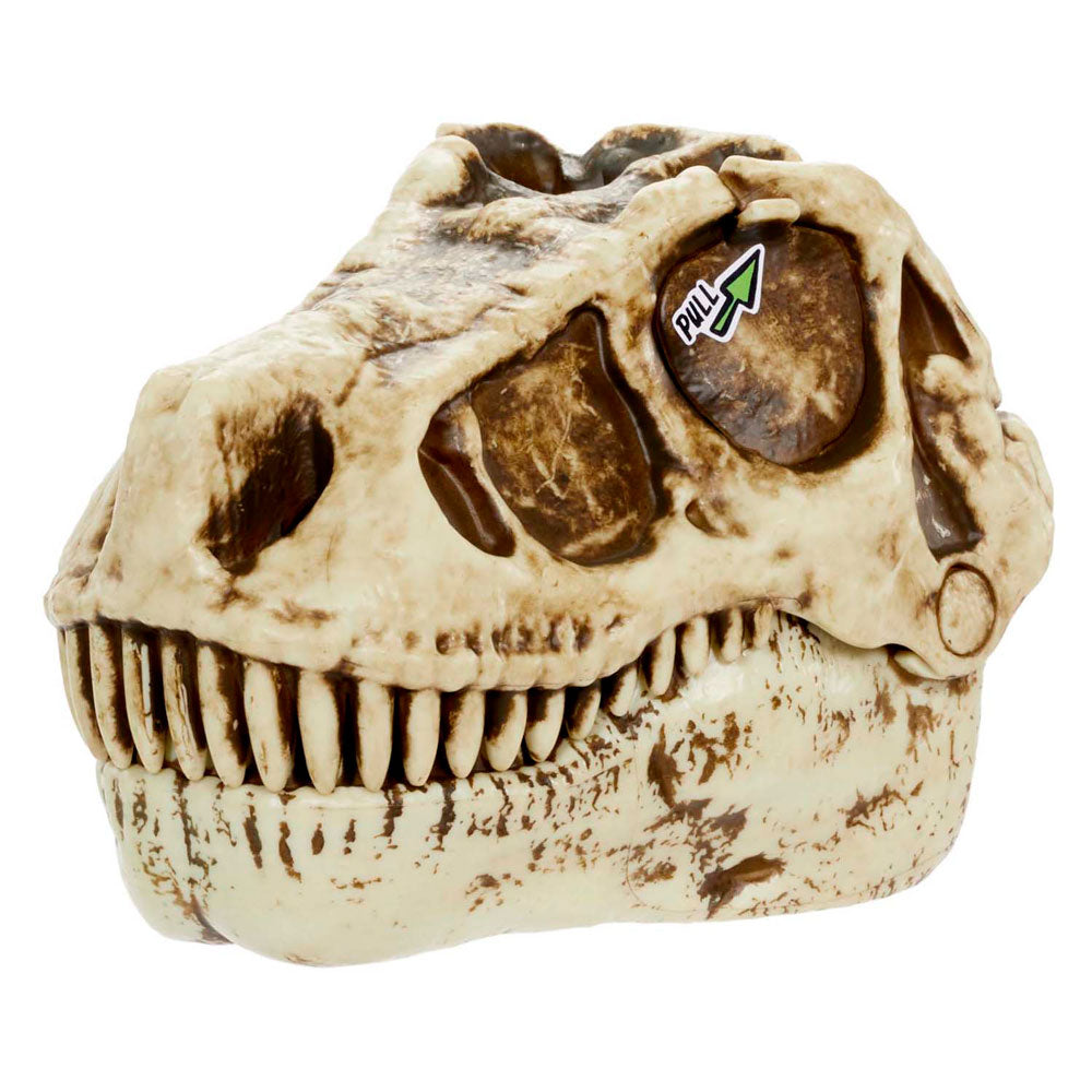 Grossasaurus blind asst