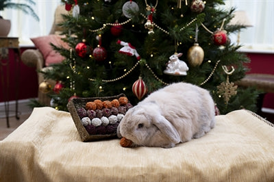Cupid comet advent gift 'n' forage truffel schaal