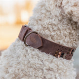 Trixie halsband hond klinknagel rustiek vetleer donkerbruin