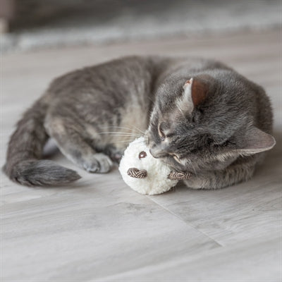 Trixie bier met catnip pluche assortiment