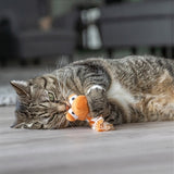 Trixie draak met kattenkruid pluche assorti