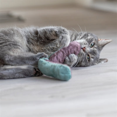 Trixie speelkussen rol met kattenkruid assorti