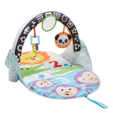 Fisher Price 2in1 Activiteiten Gym