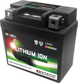 Skyrich lifepo4 batterij lfp01 . battery lfp01-i lithium