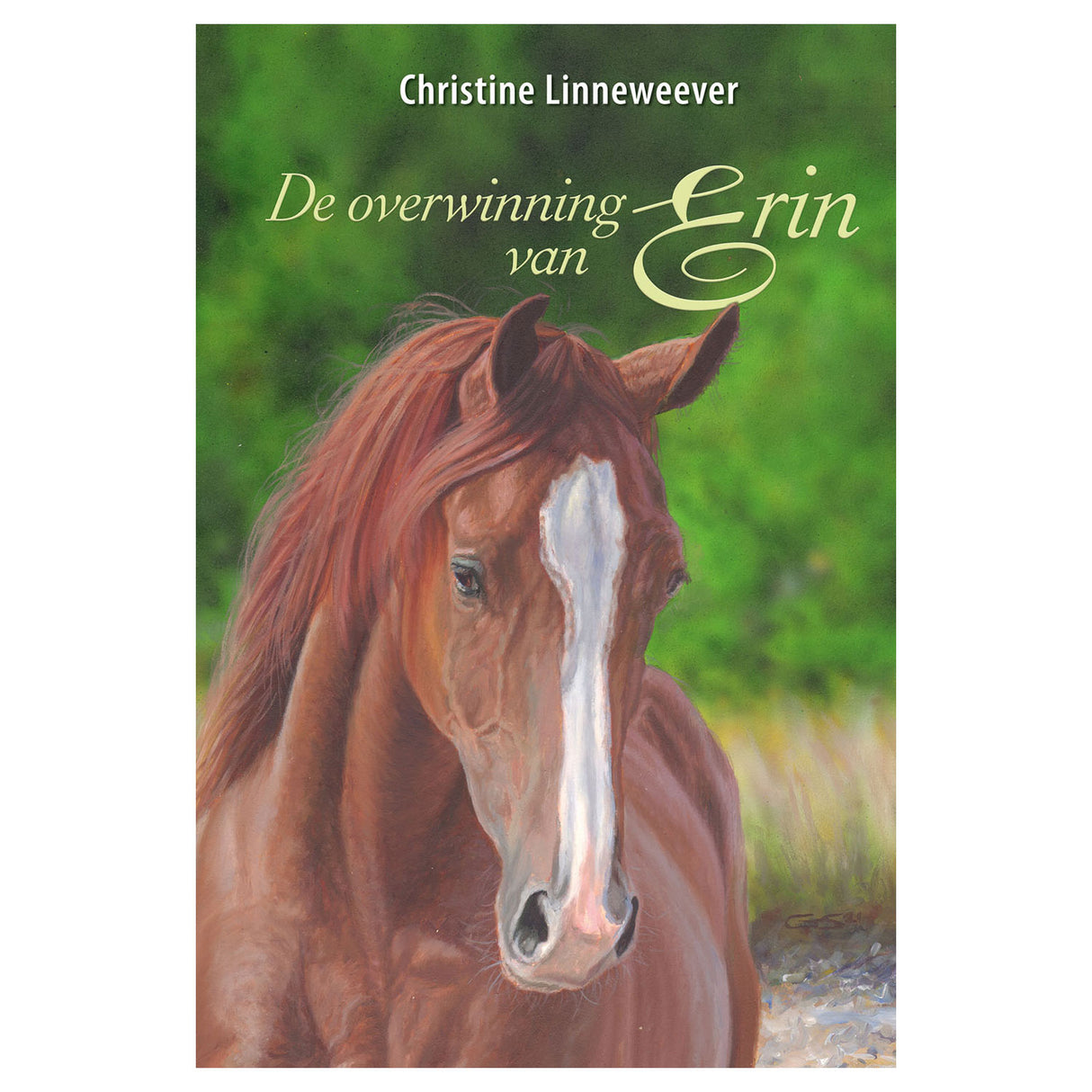 Uitgeverij kluitman gouden paarden: de overwinning van erin