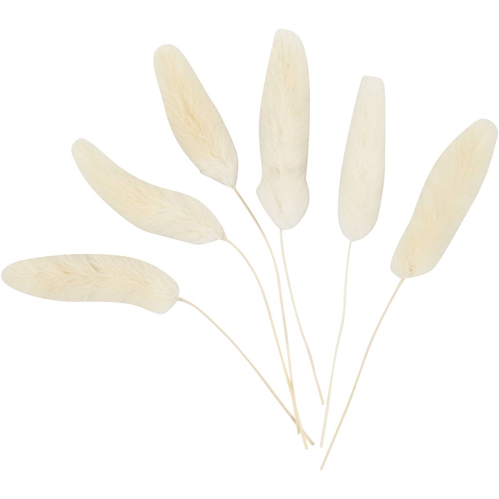 Creativ company hazenstaart gras, l: 3-7 cm, 6 stuk 1 doos