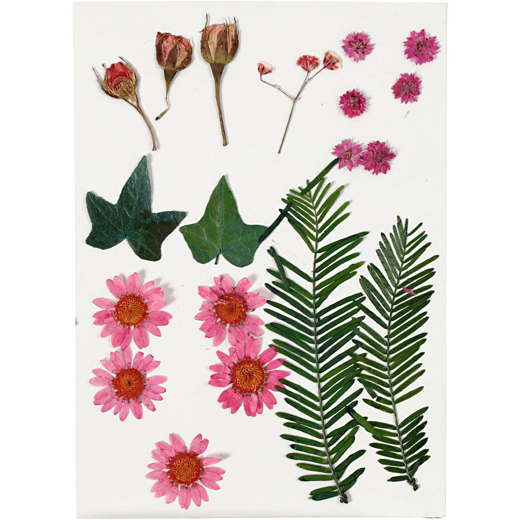 Gedroogde Bloemen en Bladeren Lichtrood, 19dlg.