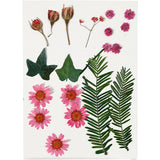 Gedroogde Bloemen en Bladeren Lichtrood, 19dlg.