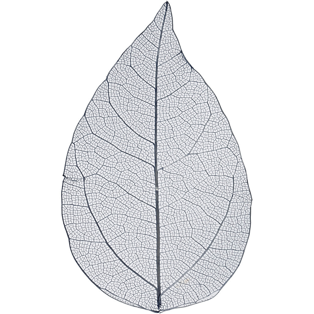 Creativ company skeleton leaves , l: 6-8 cm, blauw, 20 stuk 1 doos