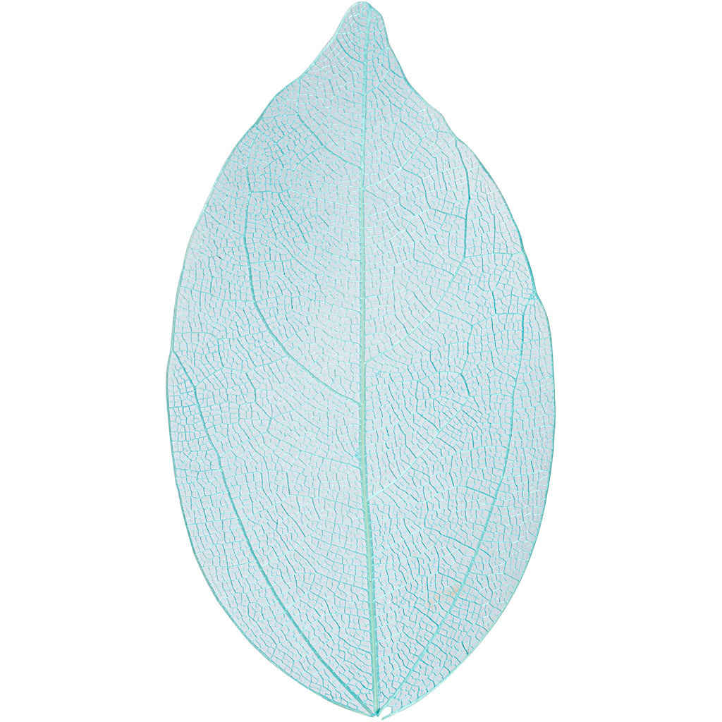 Creativ company skeleton leaves , l: 6-8 cm, lichtblauw, 20 stuk 1 doos