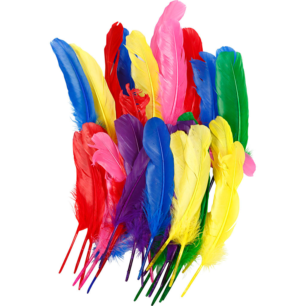 Creativ company veren, l: 20 cm, diverse kleuren, 36 stuk 1 doos