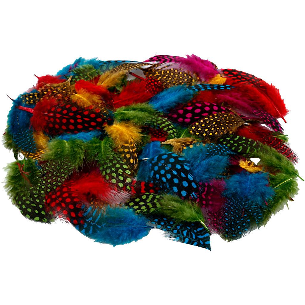 Creativ company veren van parelhoen, ca. 1500 stuk, diverse kleuren, 50 gr 1 doos