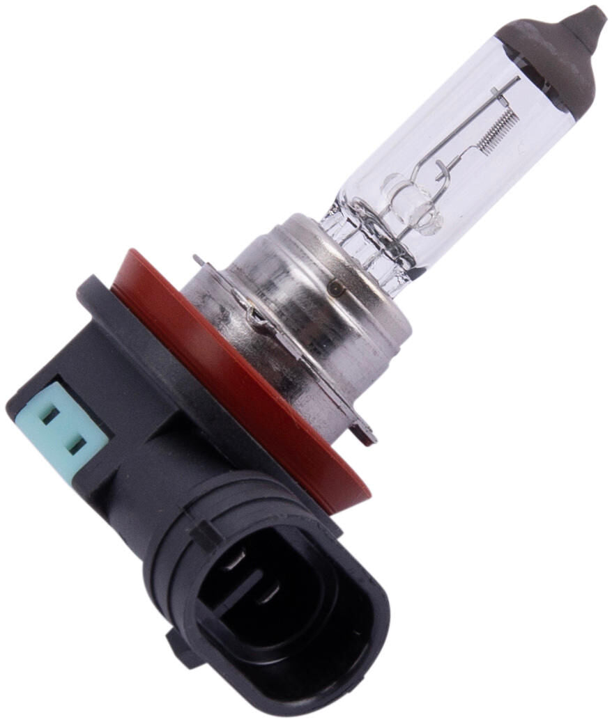 Spahn h11 koplamp gloeilamp headlight bulb 12v 55w h11 pgj19-2