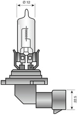 Spahn koplamp gloeilamp headlight bulb 12v 65w hb3 p20d