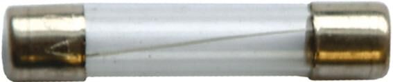 Spahn glazen zekering glass fuses 8a 6x32 mm (10pcs)