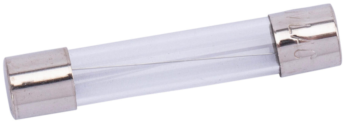 Spahn glazen zekering glass fuses 10a 6x32 mm (10pcs)