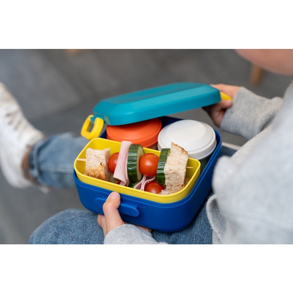 Amuse lunchbox rikko divider en 2 snack lagoon
