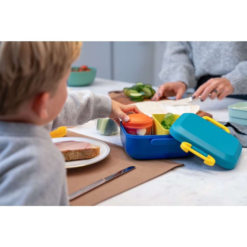 Amuse lunchbox rikko divider en 2 snack lagoon