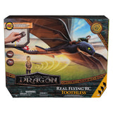 How to train your dragon flying toothless