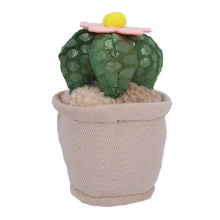 Pluchiez pluche plantjes 15 cm assorti